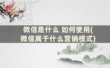 微信是什么 如何使用(微信属于什么营销模式)